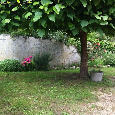 Gite Des Petites Poules Rousses 9 Personnes Zoo Beauval Et Chateaux De La Loire Choussy المظهر الخارجي الصورة